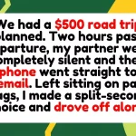 Concertgoer drives off on $500 road trip alone after partner goes completely radio silent