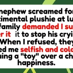 Emotional Standoff: Woman Denies Crying Nephew Sentimental Keepsake