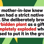 Mother-In-Law Fumes After Gift Rejected From Strict Native-Only Garden