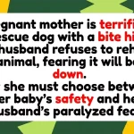 Pregnant mother faces agonizing marital standoff over high-risk reactive rescue dog