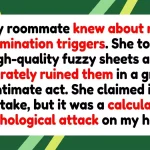 Roommate Warfare: When Personal Boundaries Are Weaponized