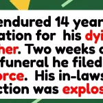 The Fourteen-Year Lodger: Husband Files for Divorce Weeks After His Mother’s Passing