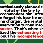 The Travel Breaking Point: Weaponized Incompetence vs. Genuine Disability